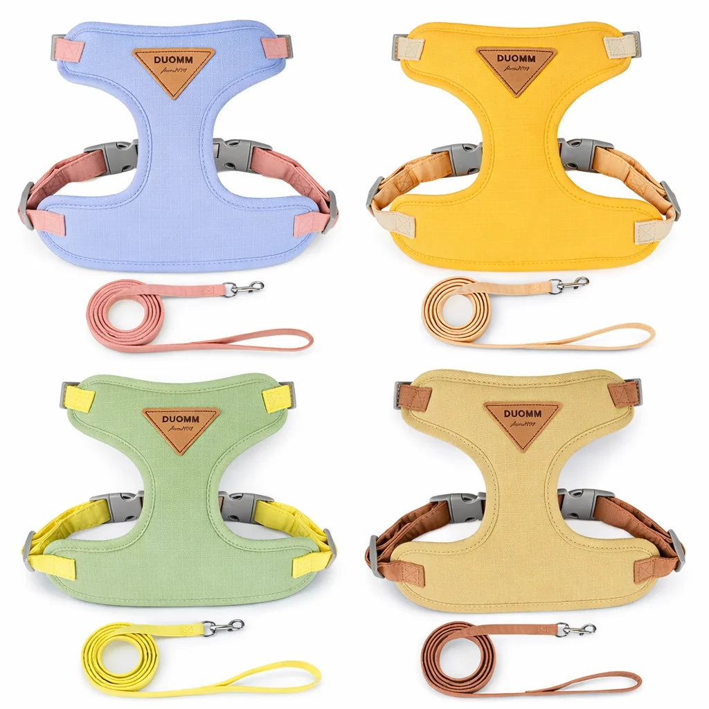 Cat Puppy Outdoor Walking Supplies Fashion Pet Harness and Leash Set for Small Dogs Cats Breathable Durable Kitten Harnesses