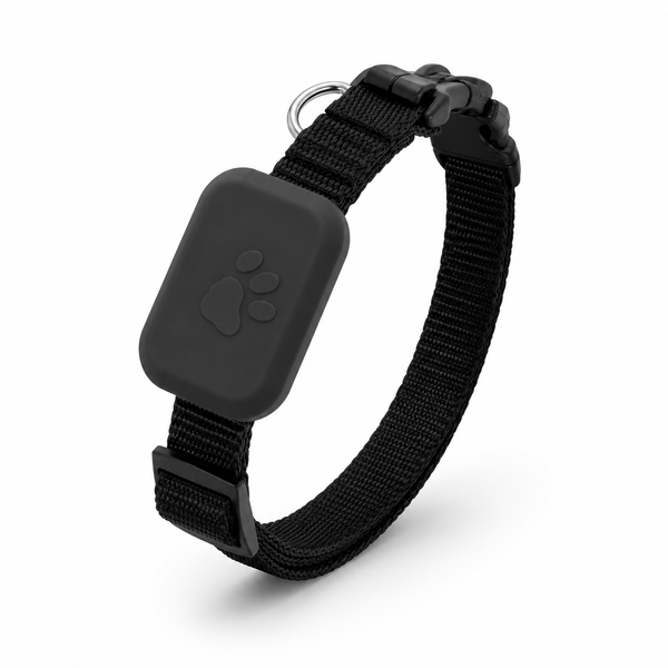 Verbena, Global Find My GPS Locator for Cats