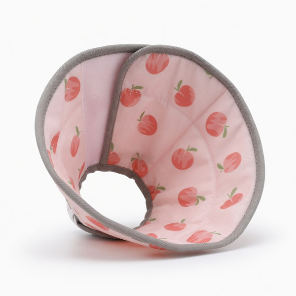 Willow, Adjustable Recovery Cone Collar for Cats