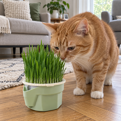 wcnew herbe-a-chat-cat-snack-cat-mint-plant 04_scene_2