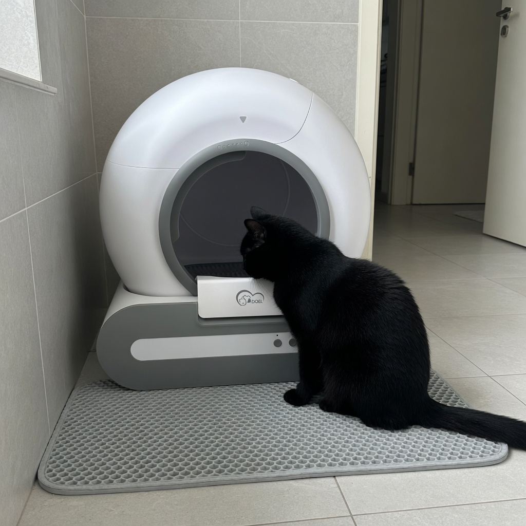 Moss, App Controlled Self-Cleaning Litter Box for Cats