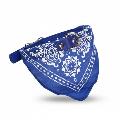 Jasper, PU Collar with Scarf for Cats