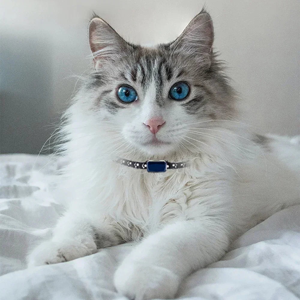 Lupin, GSM WiFi GPS Tracker Collar for Cats