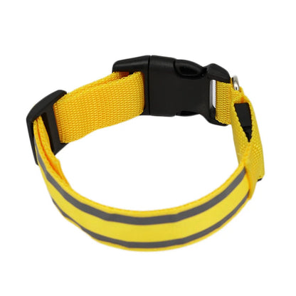 Osprey, Rechargeable LED Reflective Collar for Cats