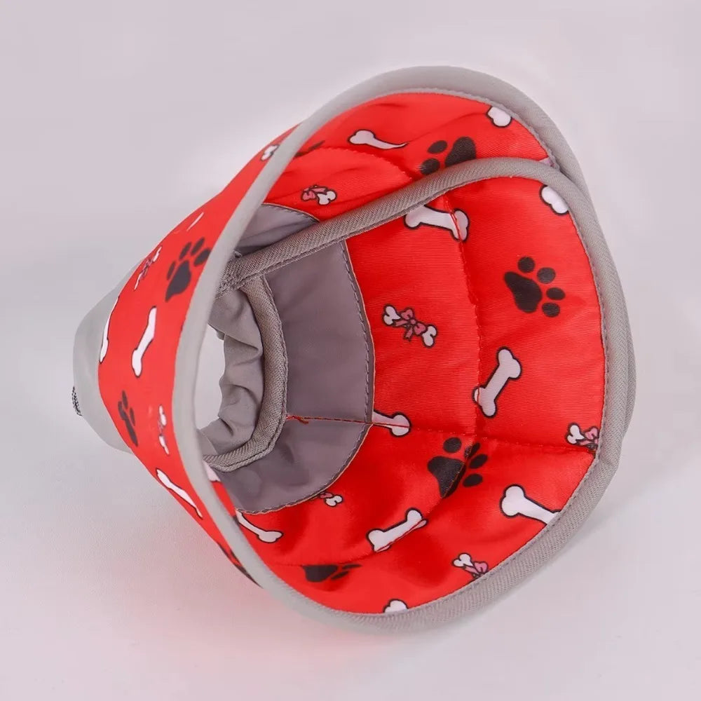 Willow, Adjustable Recovery Cone Collar for Cats