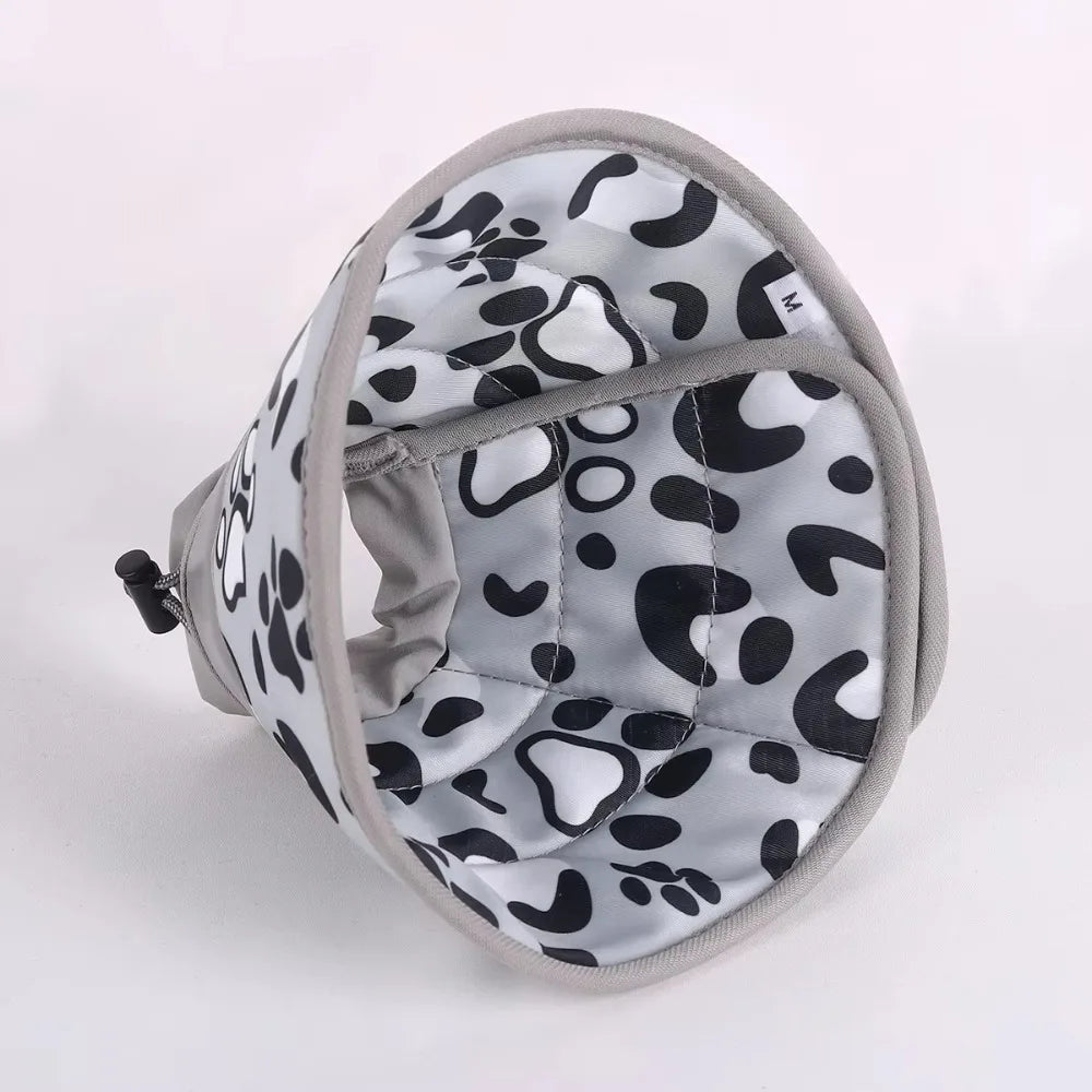 Willow, Adjustable Recovery Cone Collar for Cats