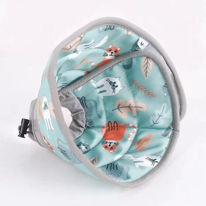 Willow, Adjustable Recovery Cone Collar for Cats