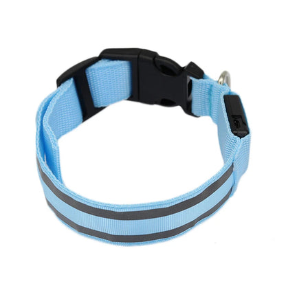 Osprey, Rechargeable LED Reflective Collar for Cats