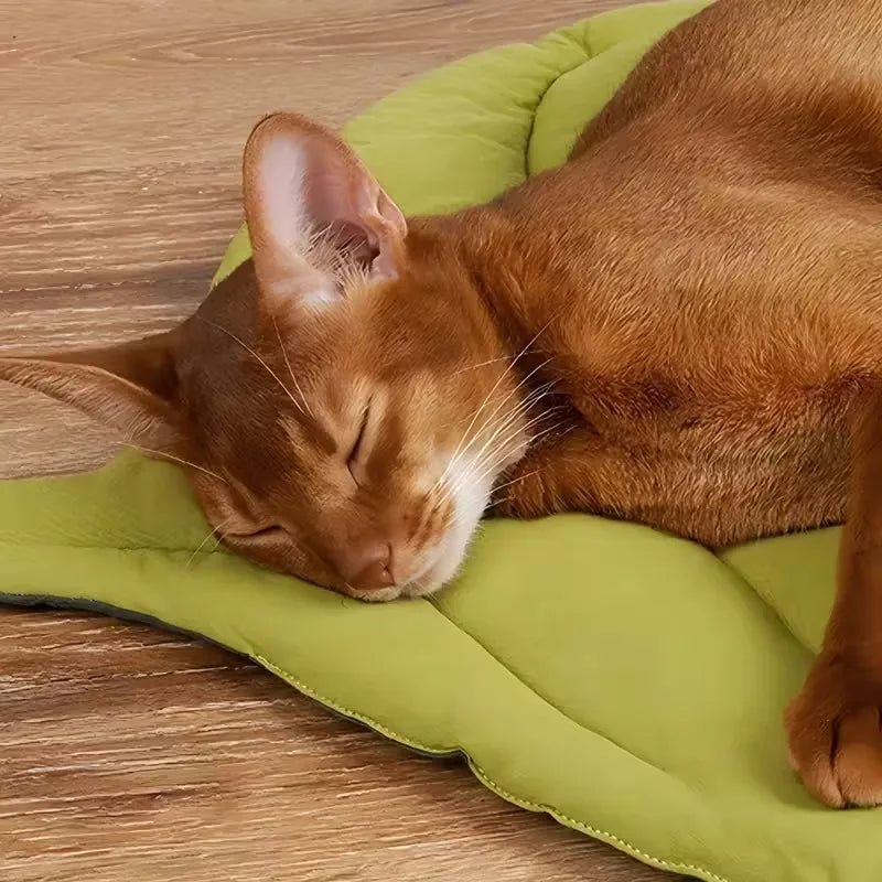 Betony, Reversible Leaf Cushion Mat for Cats