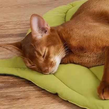 Betony, Reversible Leaf Cushion Mat for Cats