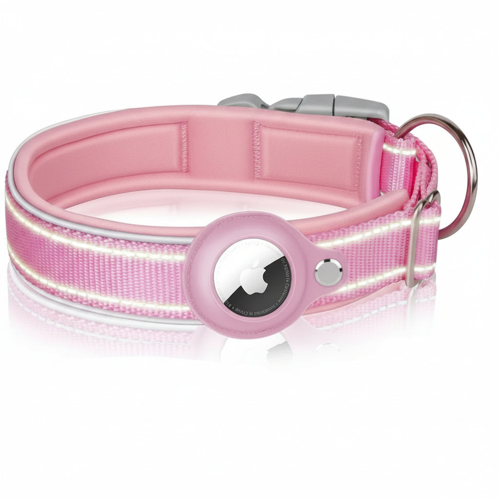 Teasel, Reflective AirTag Collar for Cats