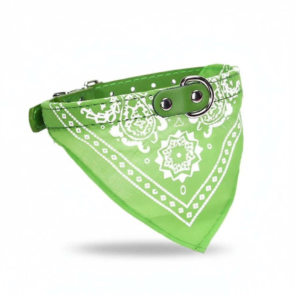 Jasper, PU Collar with Scarf for Cats