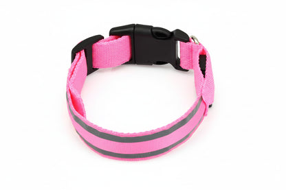 Osprey, Rechargeable LED Reflective Collar for Cats