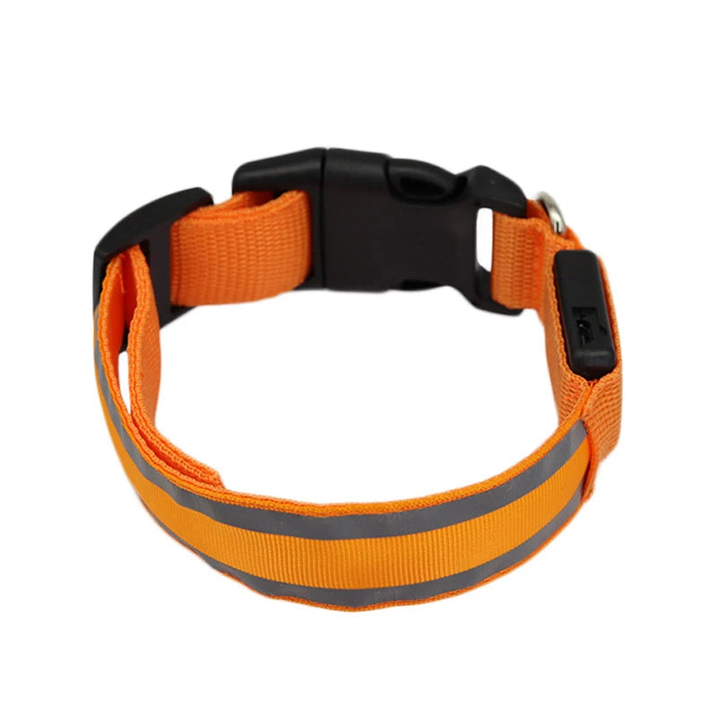 Osprey, Rechargeable LED Reflective Collar for Cats