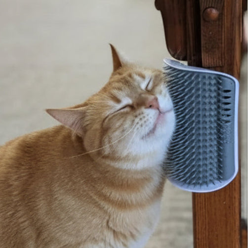 Medlar, Self-Service Corner Grooming Comb for Cats