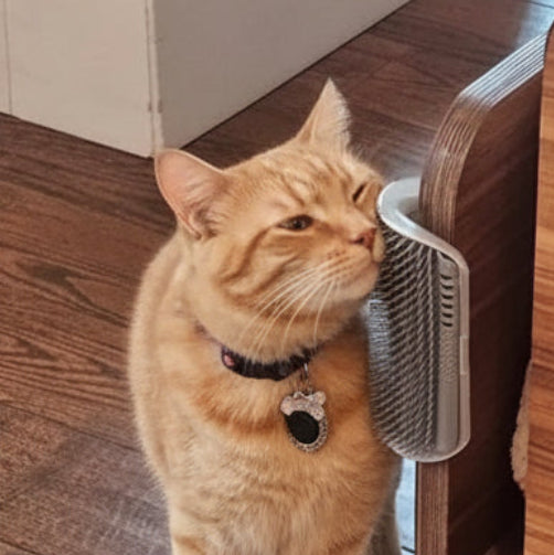 Medlar, Self-Service Corner Grooming Comb for Cats
