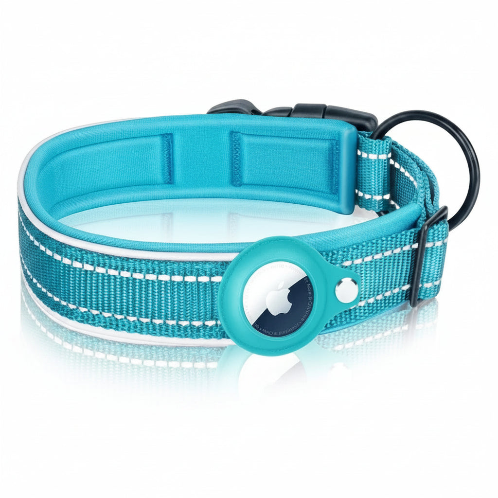 Teasel, Reflective AirTag Collar for Cats