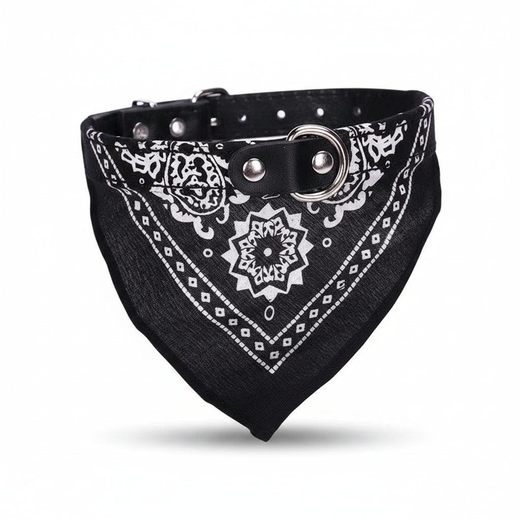 Jasper, PU Collar with Scarf for Cats