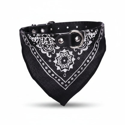 Jasper, PU Collar with Scarf for Cats