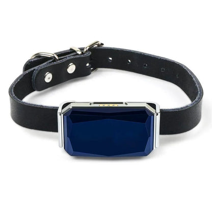 Merlin, Real-Time GPS Tracker Collar for Cats