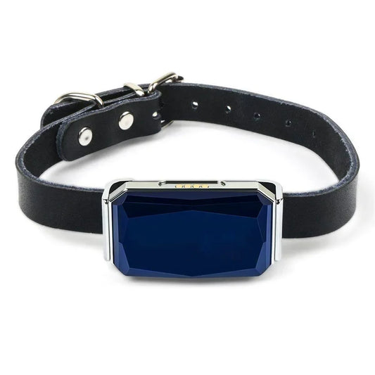 Merlin, Real-Time GPS Tracker Collar for Cats
