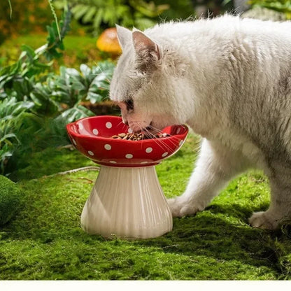 Shale, Mushroom Resin Feeding Bowl for Cats