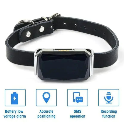 Lupin, GSM WiFi GPS Tracker Collar for Cats