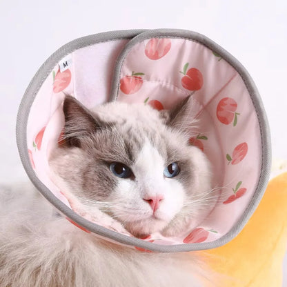 Willow, Adjustable Recovery Cone Collar for Cats