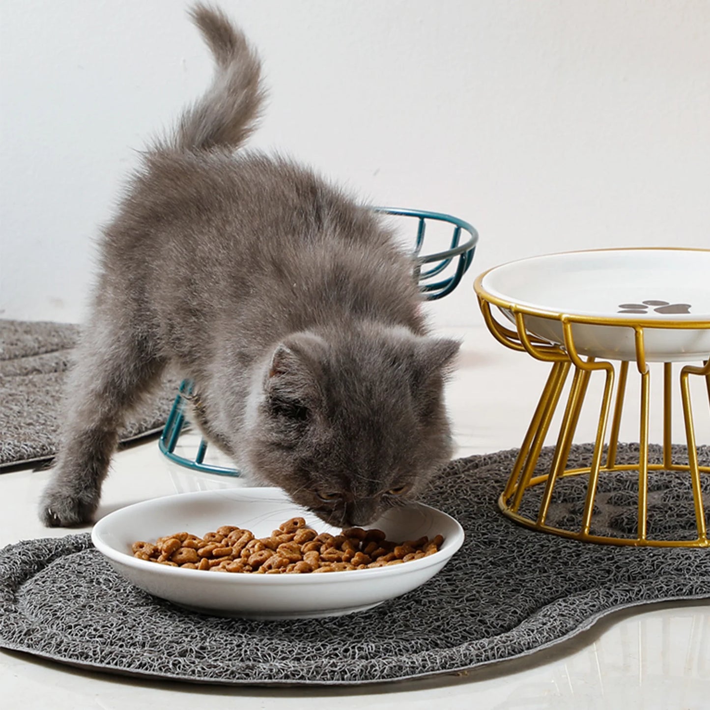 Thyme, Ceramic Raised Whisker-Friendly Bowl for Cats