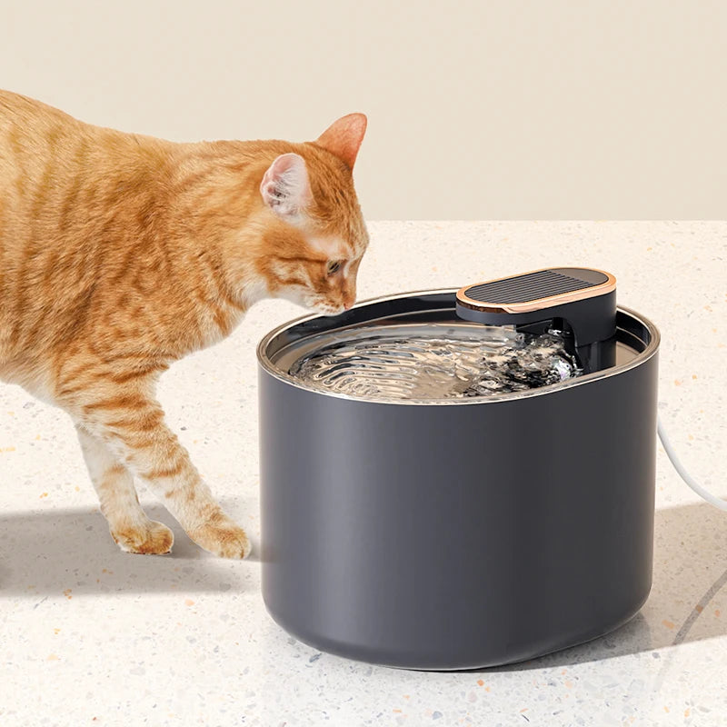 Chalk, Motion Sensor Water Fountain for Cats