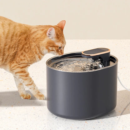 Chalk, Motion Sensor Water Fountain for Cats