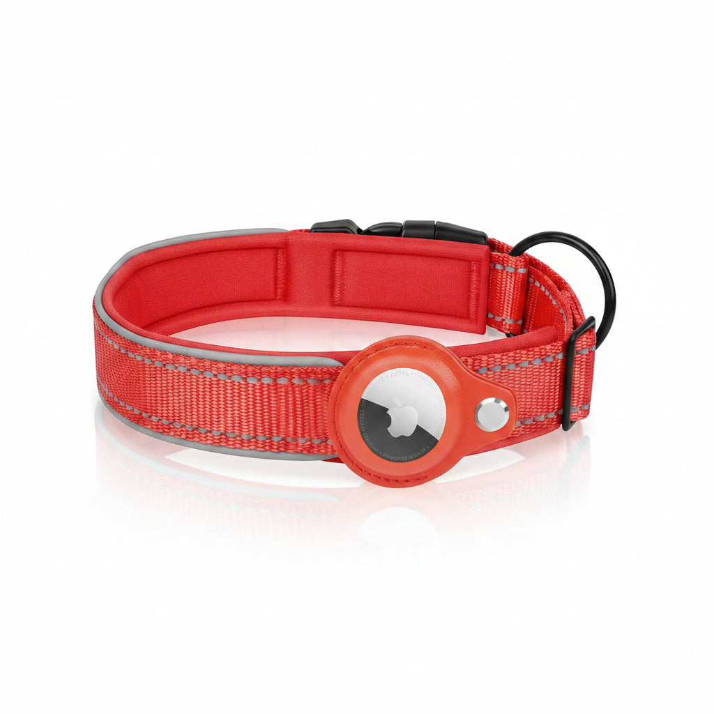 Teasel, Reflective AirTag Collar for Cats