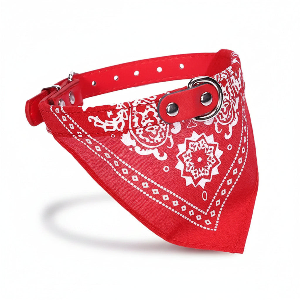 Jasper, PU Collar with Scarf for Cats