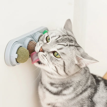 Comfrey, Rotating Catnip Wall Toy for Cats