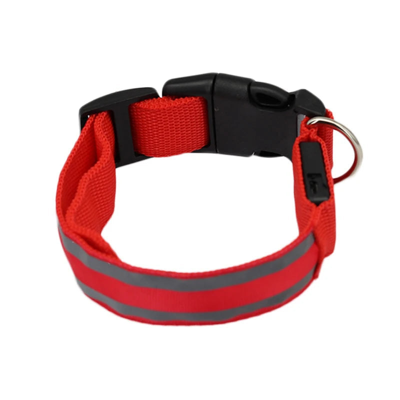 Osprey, Rechargeable LED Reflective Collar for Cats