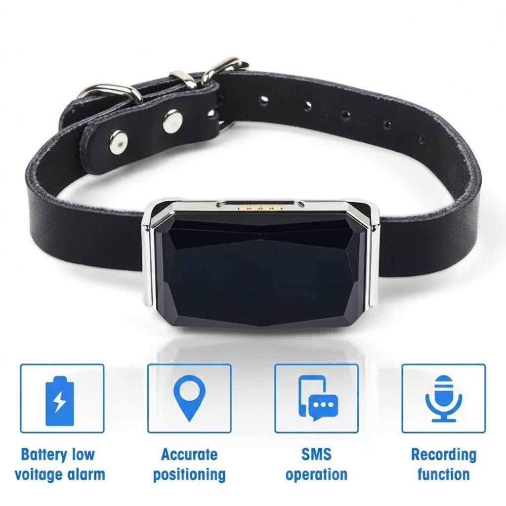 Marigold, GPS Collar with Geofence for Cats