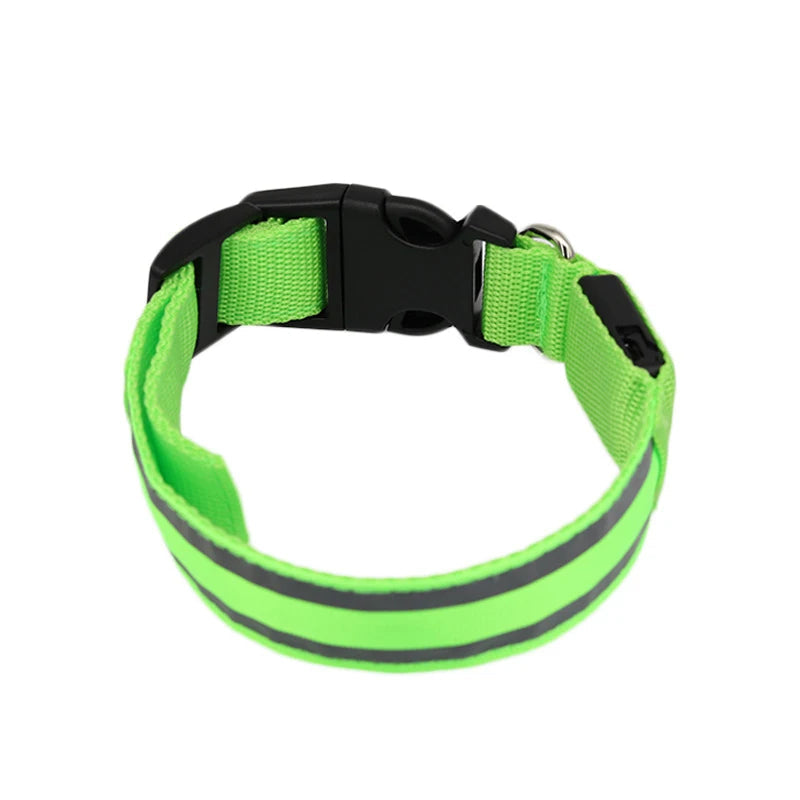 Osprey, Rechargeable LED Reflective Collar for Cats