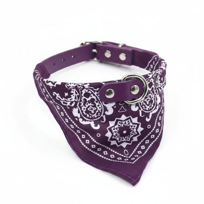 Jasper, PU Collar with Scarf for Cats