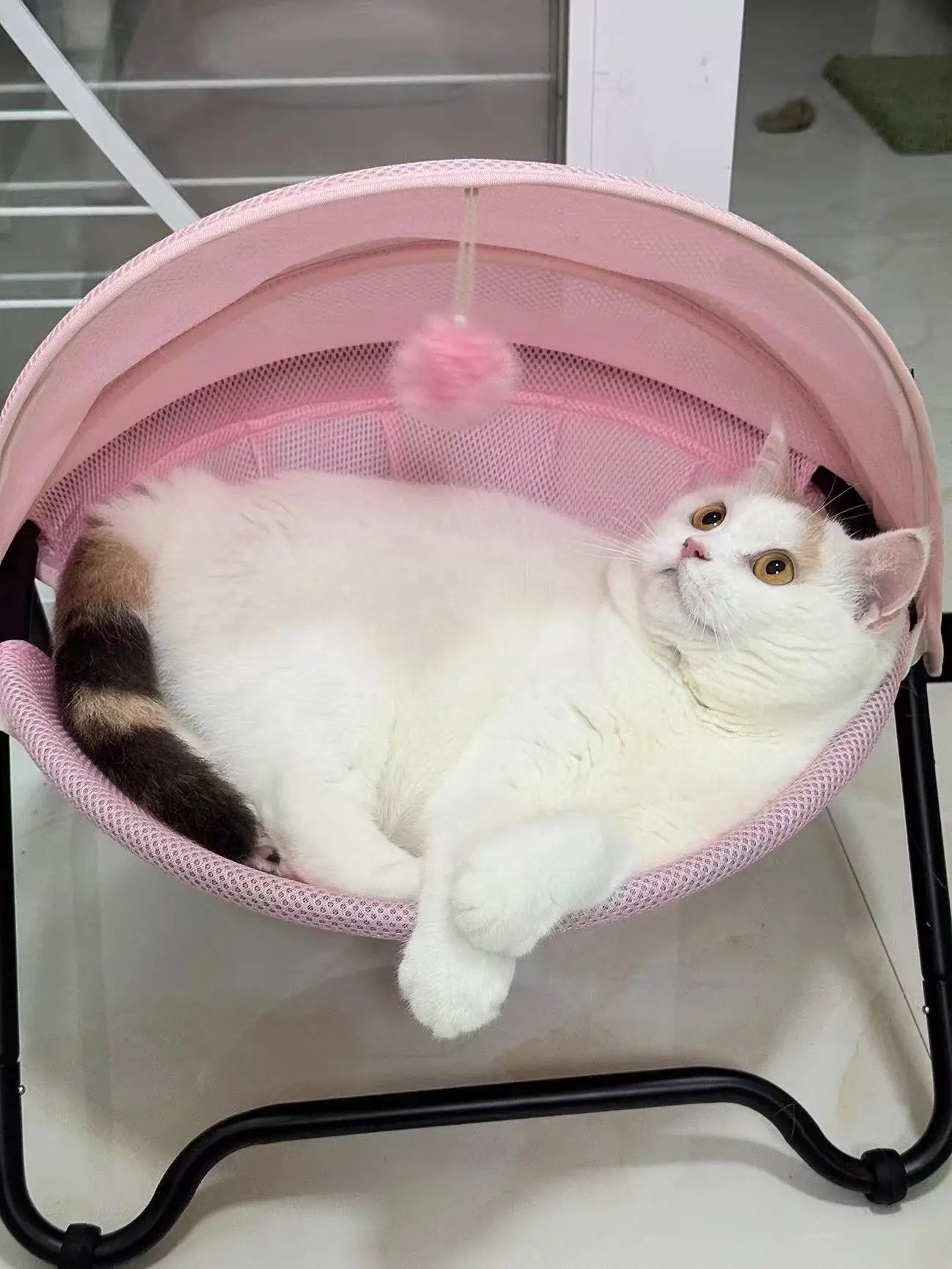 Teal, Window Hammock Lounger for Cats