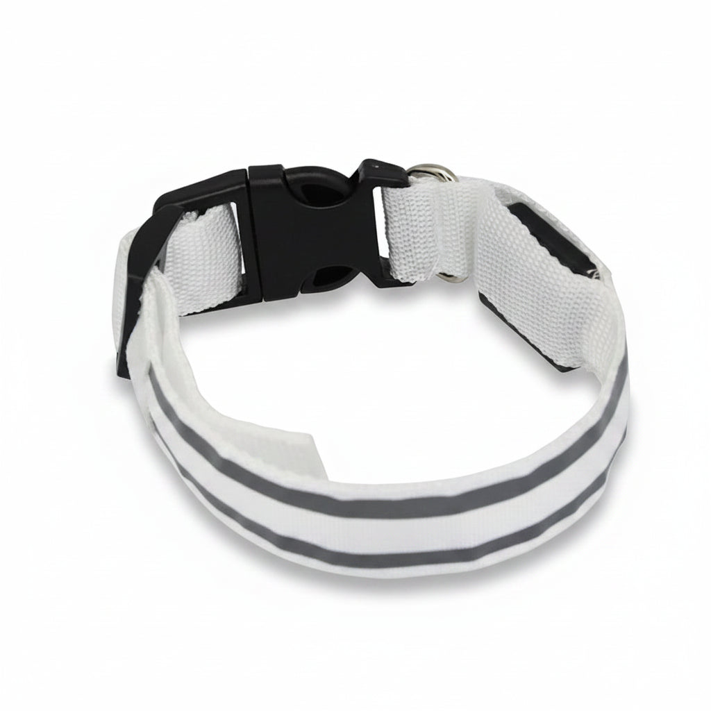 Osprey, Rechargeable LED Reflective Collar for Cats