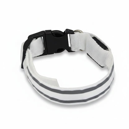Osprey, Rechargeable LED Reflective Collar for Cats