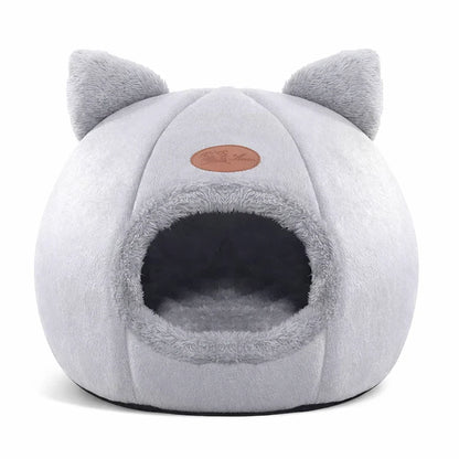 Tansy, cat head warm house