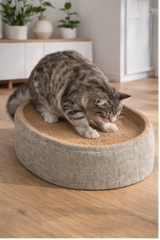 2in1 Cat Scratching Board Protect Furniture Grinding Claw Toys Oval Corrugated Paper Wear-resistant Cat Nest Cat Accessories