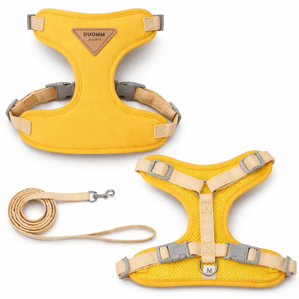 Cat Puppy Outdoor Walking Supplies Fashion Pet Harness and Leash Set for Small Dogs Cats Breathable Durable Kitten Harnesses