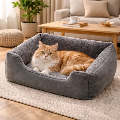 Bed for Cats Pet Products Cushions Kitten Winter Accessories Dog All Houses Supplies Things Accessory Habitats Basket House Beds