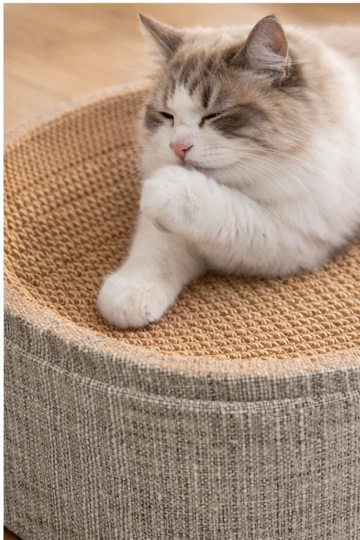 2in1 Cat Scratching Board Protect Furniture Grinding Claw Toys Oval Corrugated Paper Wear-resistant Cat Nest Cat Accessories