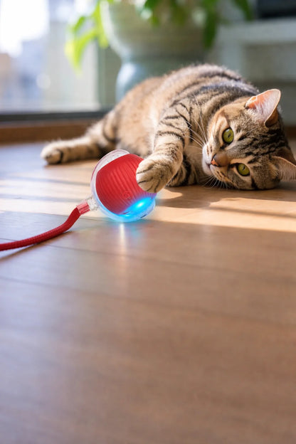 New Dog Interactive Ball Toy,Automatic Rolling Dog Ball Rechargeable,Smart Puppy Interactive Toy,Intelligent Balls Toy for Dogs