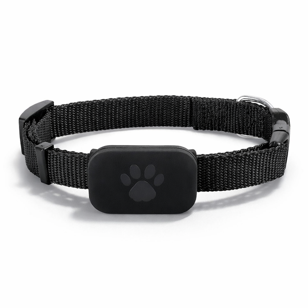 Verbena, Global Find My GPS Locator for Cats