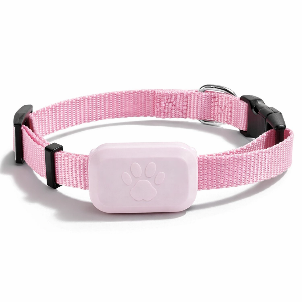 Verbena, Global Find My GPS Locator for Cats