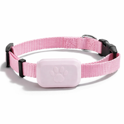 Verbena, Global Find My GPS Locator for Cats